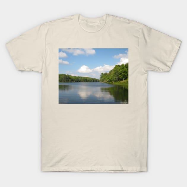 Big Salmon Lake, Frontenac Provincial Park No.2 T-Shirt by MaryLinH